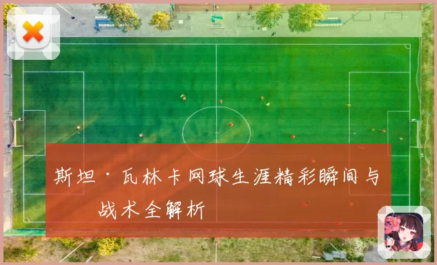 斯坦·瓦林卡网球生涯精彩瞬间与技战术全解析