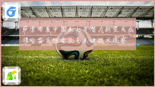 萨索洛看中国米七年潜力新星或成穆哈雷莫维奇交易关键战术观察