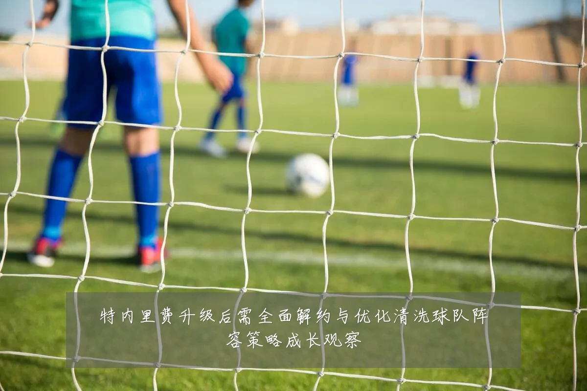 特内里费升级后需全面解约与优化清洗球队阵容策略成长观察