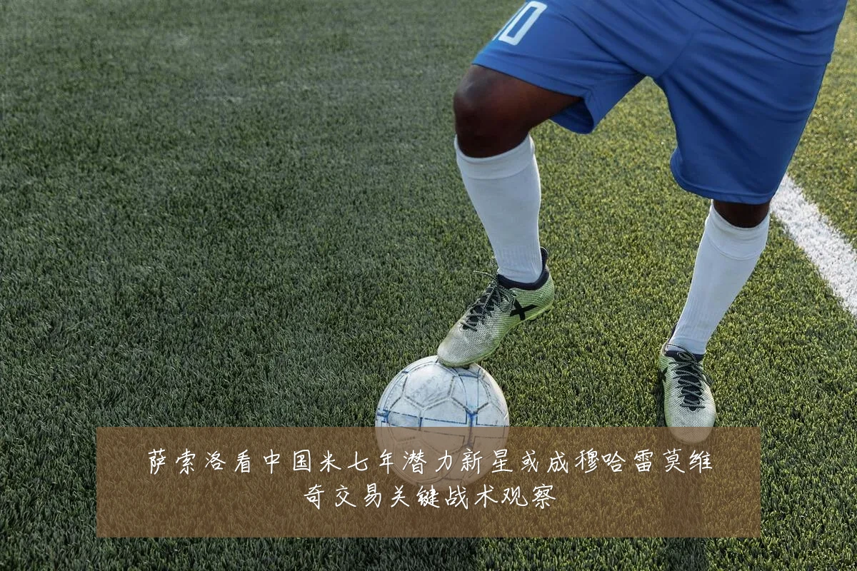 萨索洛看中国米七年潜力新星或成穆哈雷莫维奇交易关键战术观察