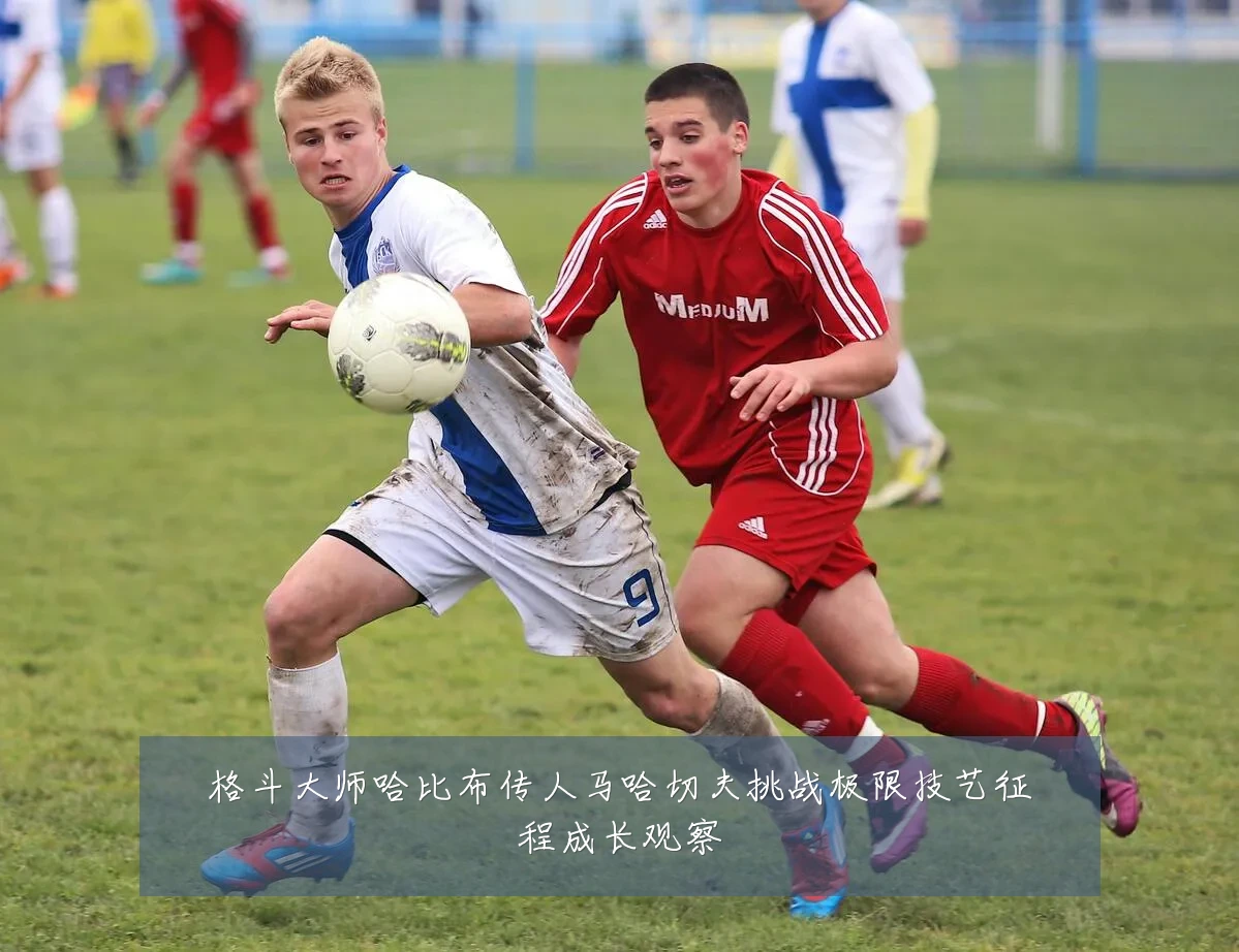 格斗大师哈比布传人马哈切夫挑战极限技艺征程成长观察