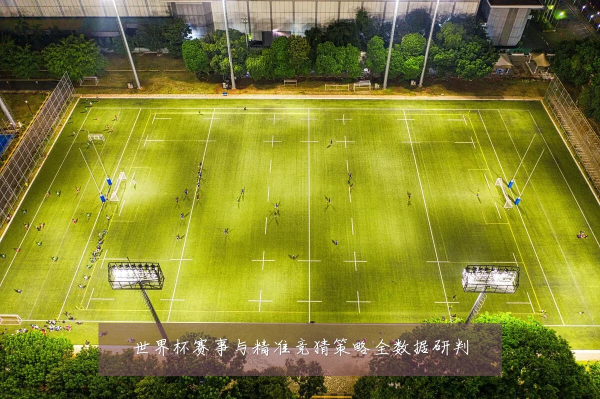 世界杯赛事与精准竞猜策略全数据研判